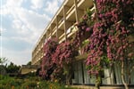 Baška Voda - Baško Polje - Depandance hotelu Alem