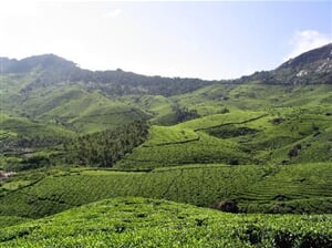 Trek indickou divočinou ve státě Kérala – 16 dní