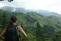 Čajové plantáže v Darjeelingu a trekking v indických Himálajích - 14 dní