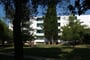 vodice-flora_madera-0001