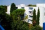 vodice-flora_madera-0002