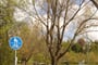 Od pramene Dunaje-1