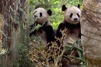 ZOO Vídeň a Schönbrunn