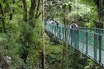 Monteverde