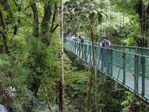 Exotická  Kostarika s návštěvou přírodní rezervace Monteverde - 10 dní