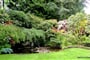 NP západní Kanady