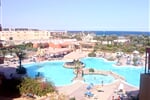 Foto - Egypt - Hurghada - Seagull****