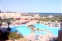Egypt - Hurghada - Seagull****