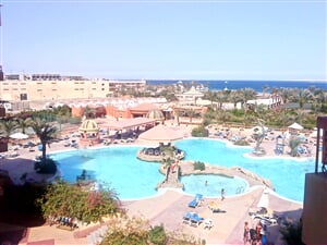 Egypt - Hurghada - Seagull****