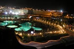 Foto - Egypt - Hurghada - Seagull****