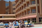 Foto - Egypt - Hurghada - Seagull****