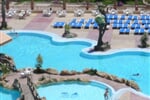 Foto - Egypt - Hurghada - Seagull****