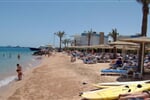 Foto - Egypt - Hurghada - Seagull****
