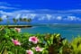 Fidži - Viti Levu - The Naviti Resort****