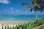 Cookovy Ostrovy - Rarotonga - Palm Growe Lodges**+