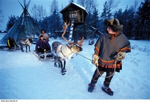 Za Santa Clausem na polární kruh do Medvědího brlohu