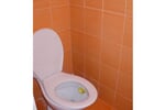 Samostatná toaleta