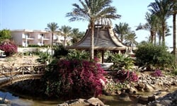 Foto - Sharm El Sheikh - Radisson Blu Resort Sharm *****