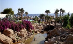 Foto - Sharm El Sheikh - Radisson Blu Resort Sharm *****