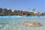 artificially - beach - in