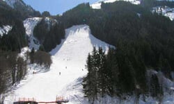 Cernaupr