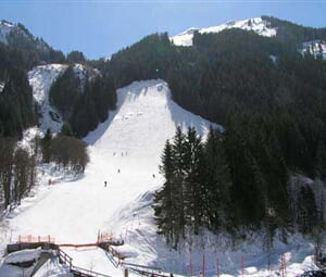 Cernaupr