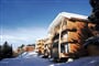Chamrousse - Domaine de l'Arselle ***