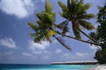 Foto - North Male Atoll - Coco Palm Bodu Hithi *****