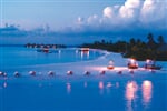 Foto - Baa Atoll - Coco Palm Dhuni Kolhu *****