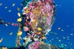 Foto - South Ari Atoll - Centara Grand Resort & Spa ****