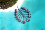 Foto - Baa Atoll - Coco Palm Dhuni Kolhu *****