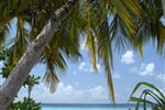 Foto - South Ari Atoll - Centara Grand Resort & Spa ****