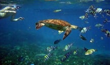 underwater observatory