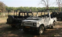 jeep safari