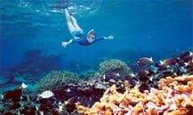 boat ride and snorkelling