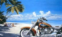 harley davidson tour