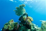 Foto - Gaafu Alifu Atoll - Park Hyatt Maldives Hadahaa *****