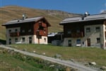 Li Baita web (13)