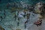 pula-horizont_apt-2011_11