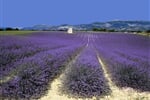 Na kole po Provence