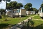 stoja-2011-mobile home stoja 04