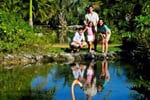 31MeliaCaribeTropical - Garden