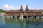 BALATON NA KOLE
