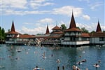 BALATON NA KOLE