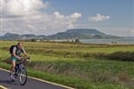 BALATON NA KOLE
