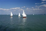 BALATON NA KOLE