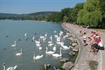 BALATON NA KOLE