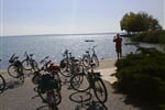 BALATON NA KOLE