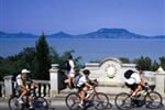 BALATON NA KOLE