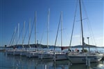 BALATON NA KOLE